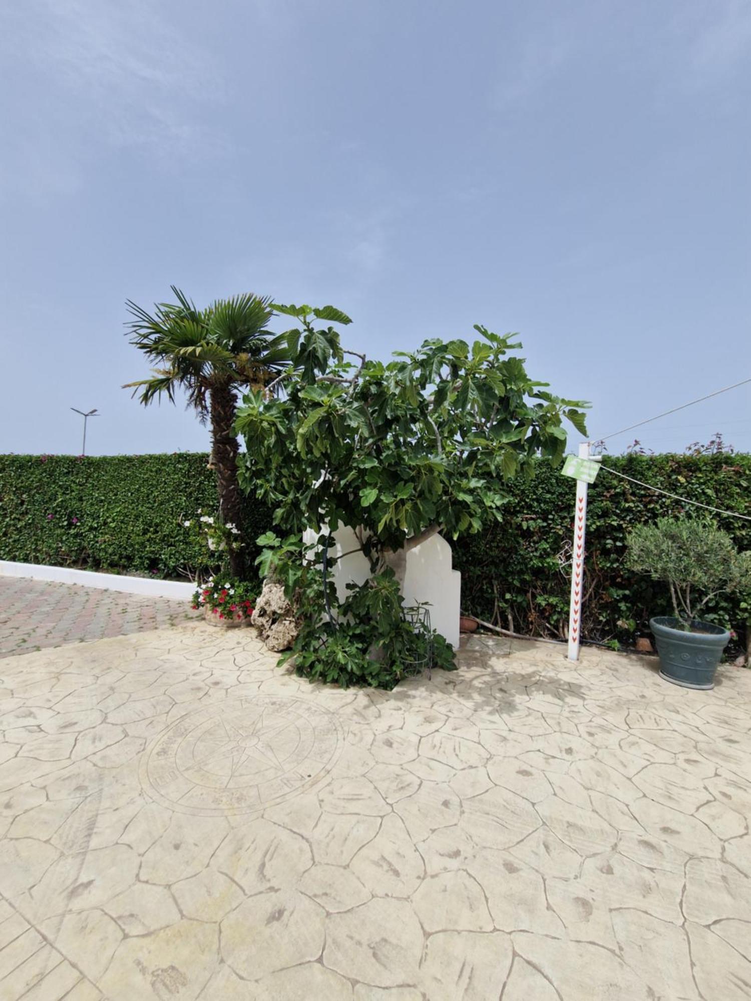 Santa Venere Apartments "Parcheggio Privato Moto-Auto" Ricarica Auto Elettriche トロペーア エクステリア 写真